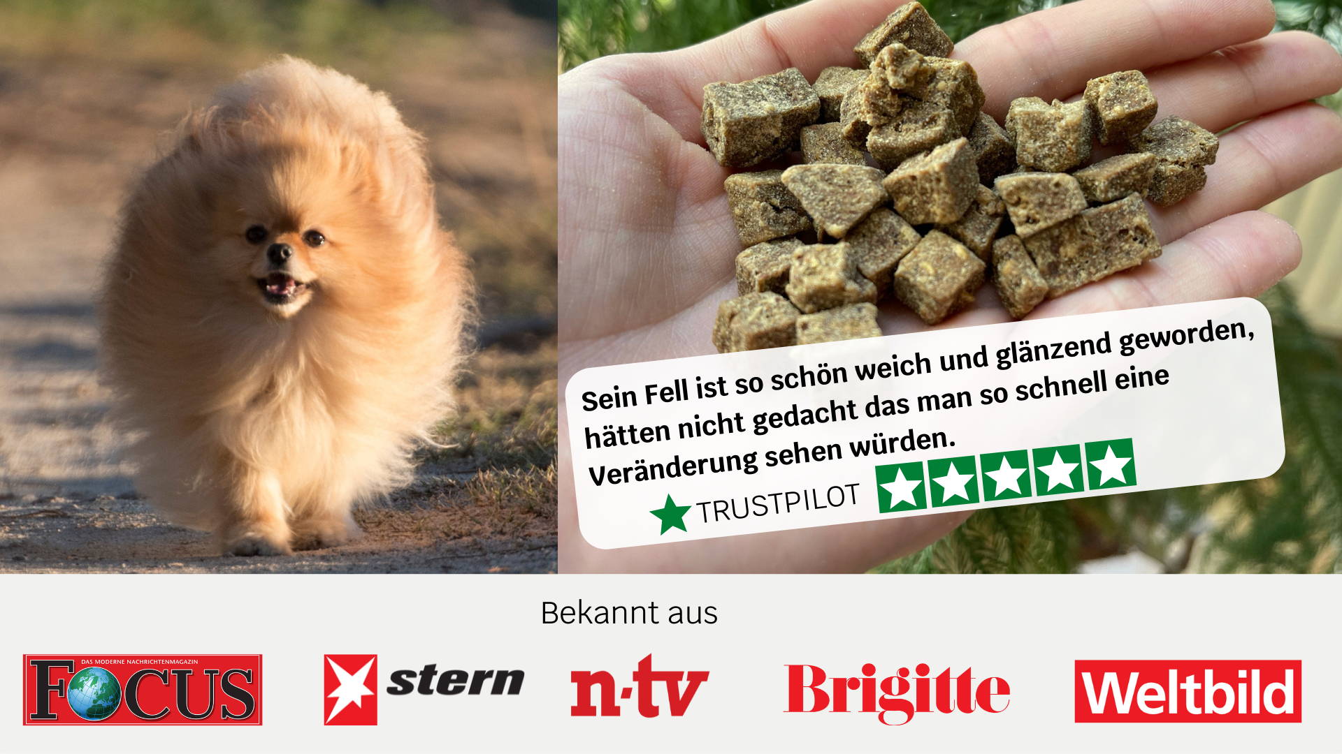 3 Tipps für geschmeidiges und glänzendes Fell bei deinem Hund mammaly